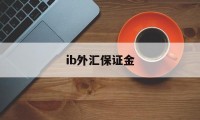 ib外汇保证金(外汇里的保证金是什么意思)